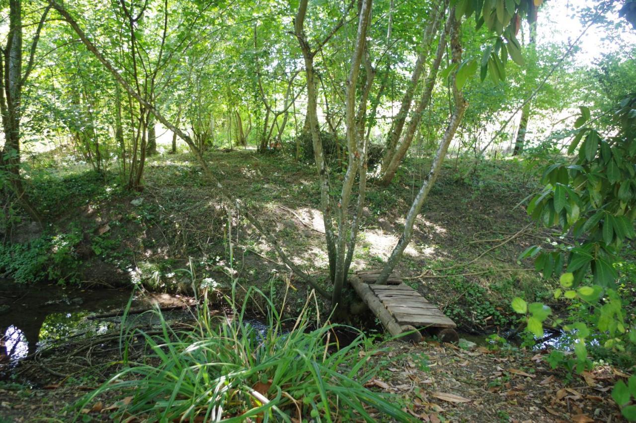 Gite Du Moulin De Vandon Souvigny-de-Touraine Zewnętrze zdjęcie